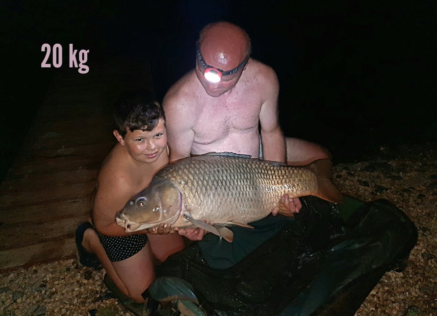 Kapr 20 kg
