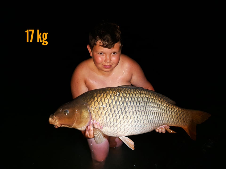 Kapr obecný 17 kg
