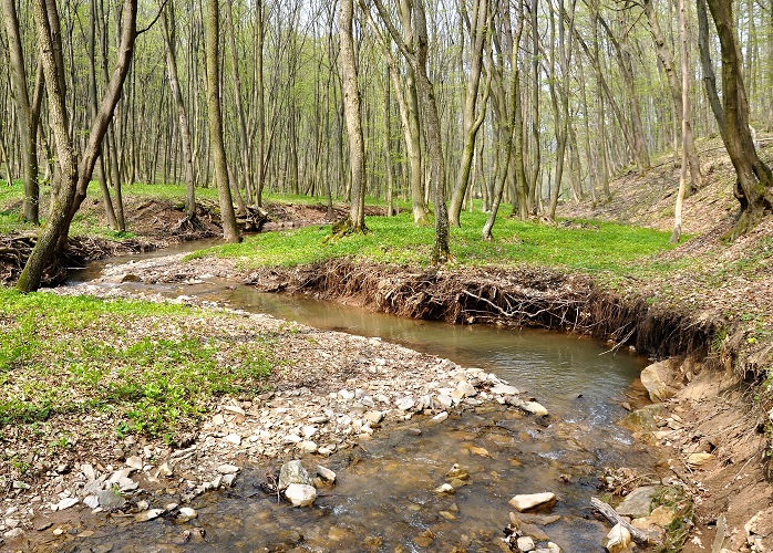 meandrující řeka