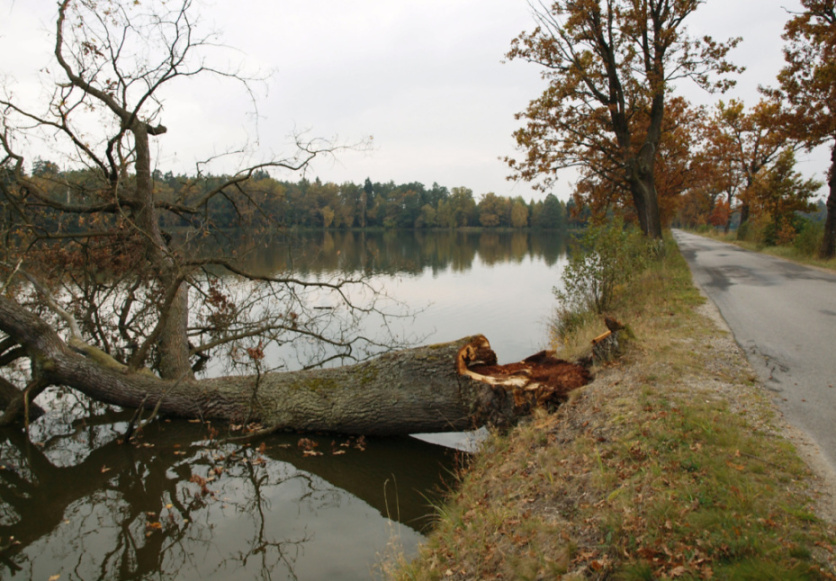 rybník