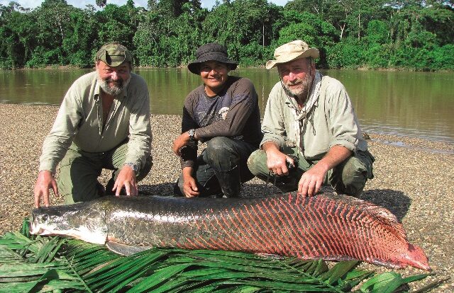 amazonie