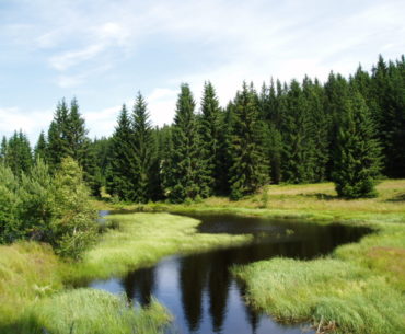 potok