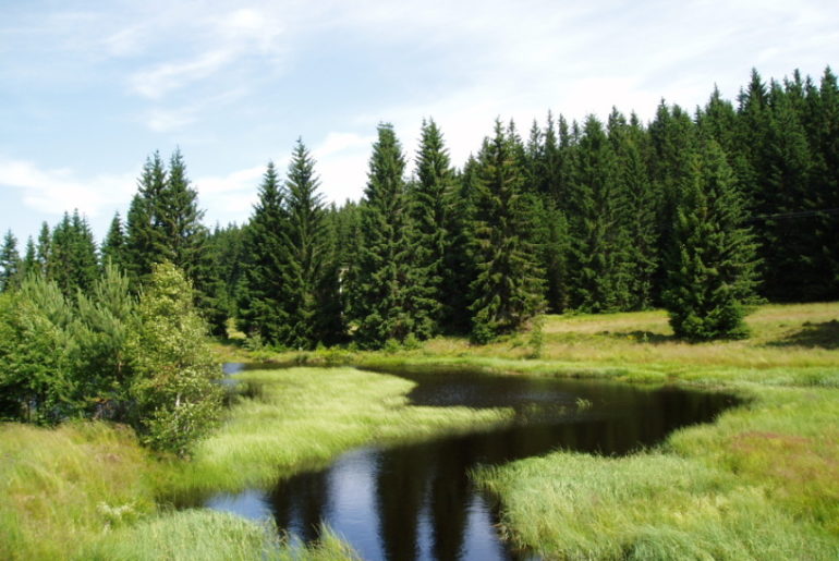 potok