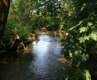 potok