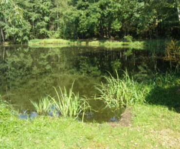 rybník