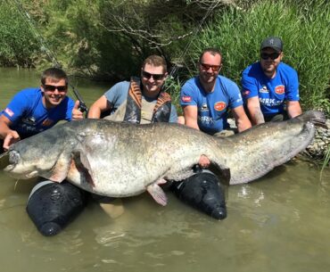 Ebro