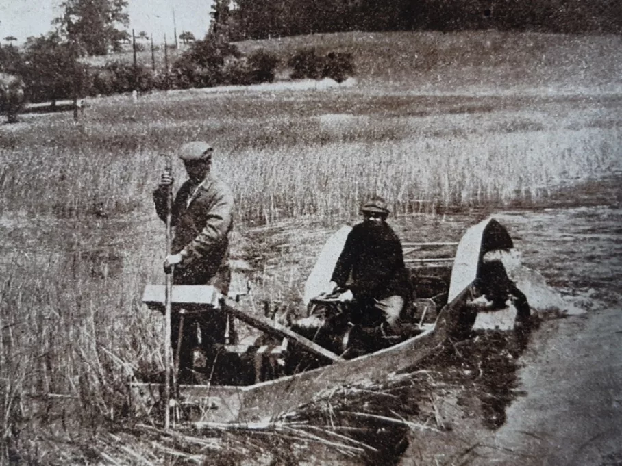 historie rybářství