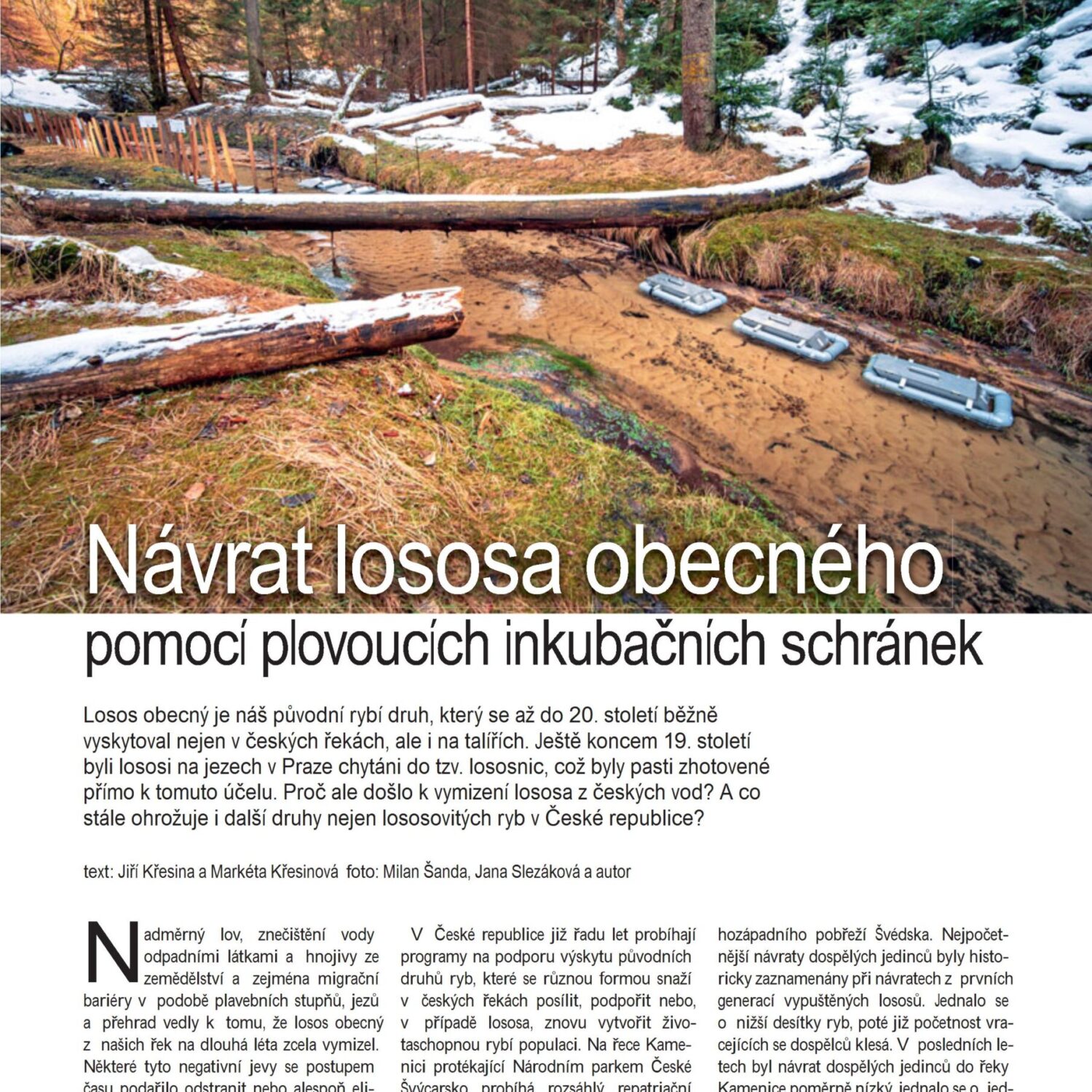 RY06_26-30 losos-prelom1