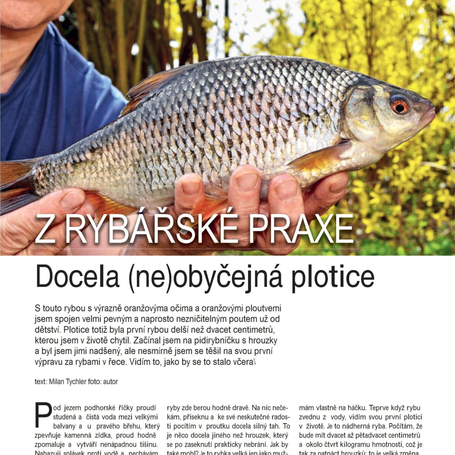RY06_36-40 tychler1