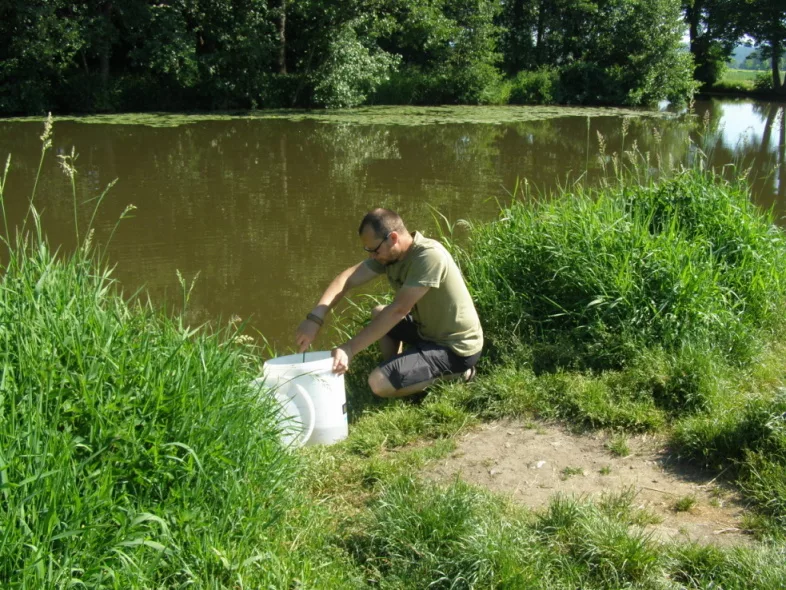 úhoři