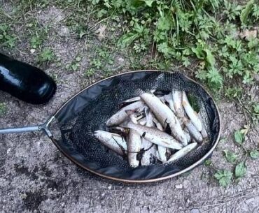 potočák