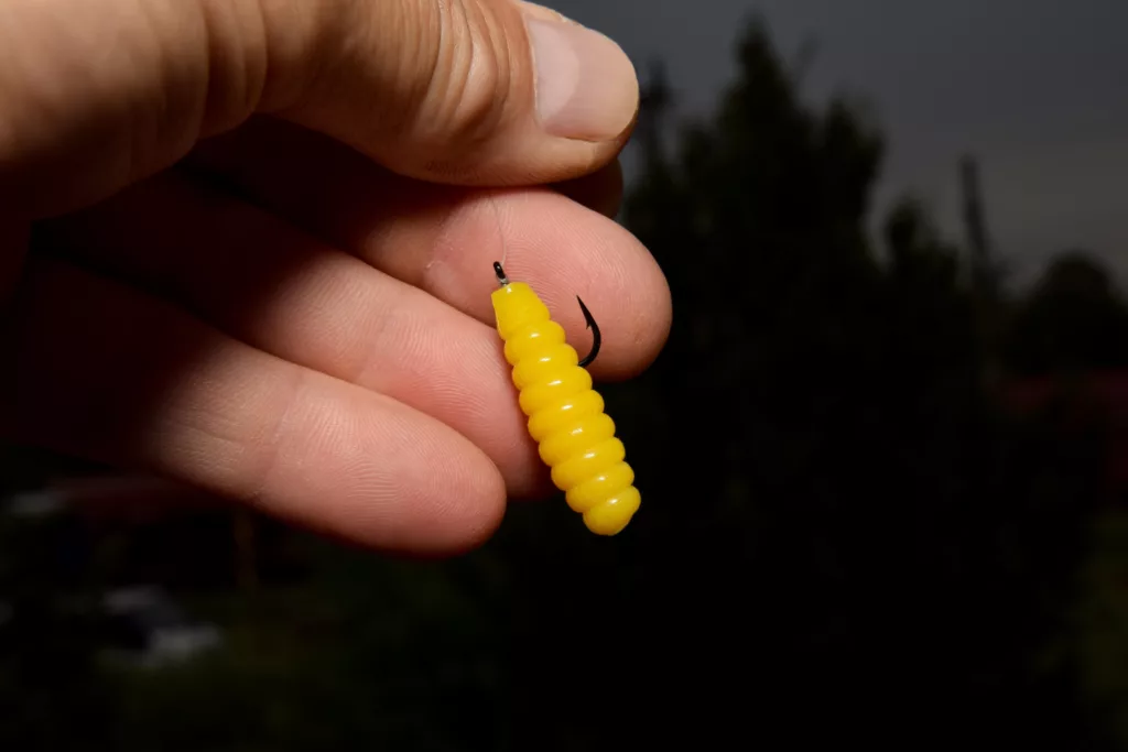 larva